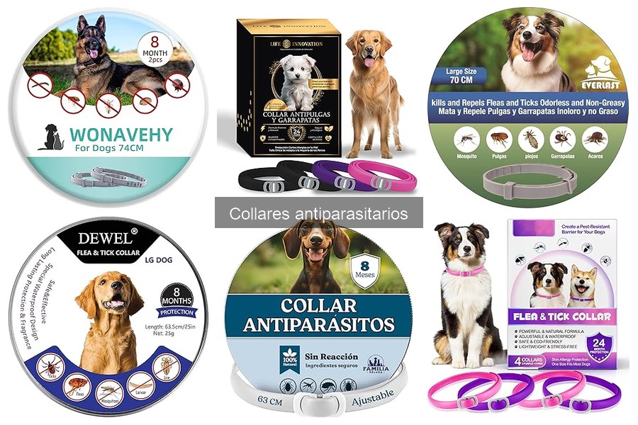Mejores lugares para comprar collares antiparasitarios económicos