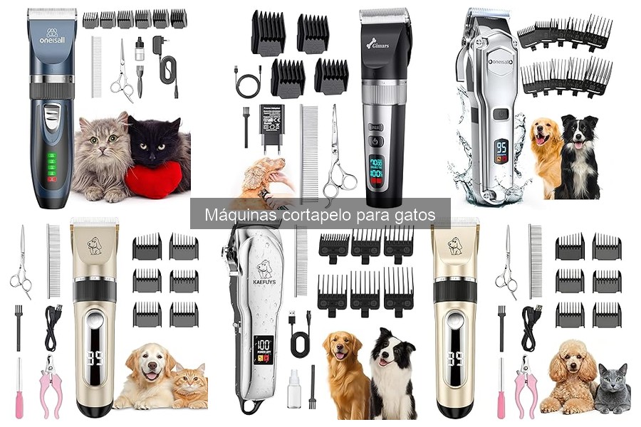 Mejores máquinas cortapelo para gatos: Comparativa 2023