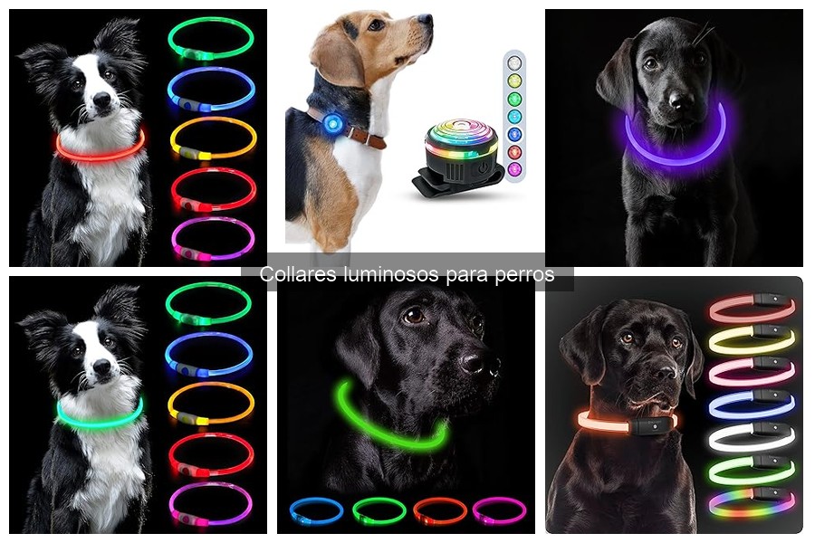 Mejores marcas de collares luminosos para perros en 2023