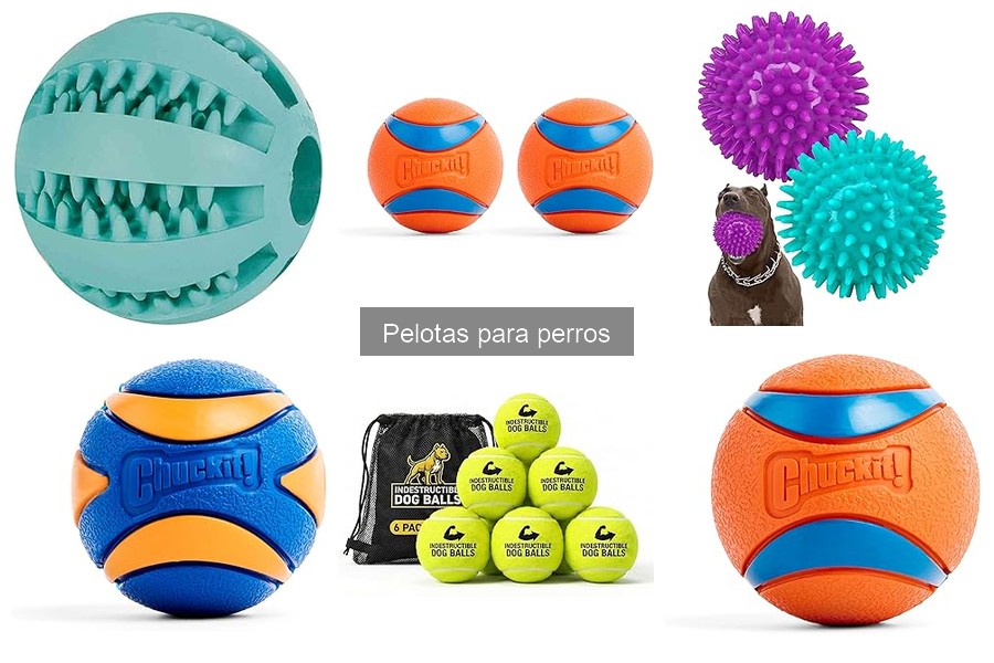 Mejores marcas de pelotas para perros: comparativa 2023