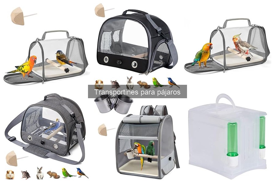 Mejores marcas de transportines para aves en 2023