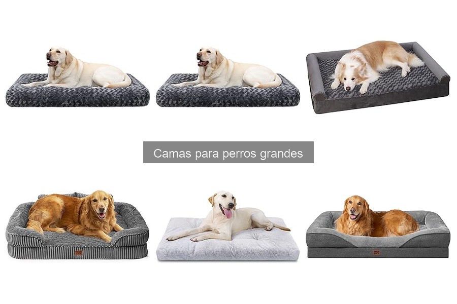 Mejores materiales para camas de perros grandes
