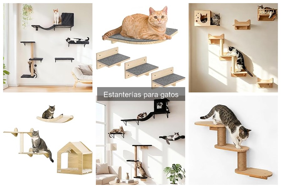 Mejores materiales para estanterías de gatos: guía informativa