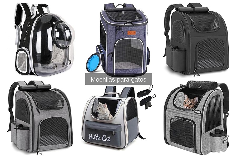 Mejores mochilas para gatos con reseñas para viajes