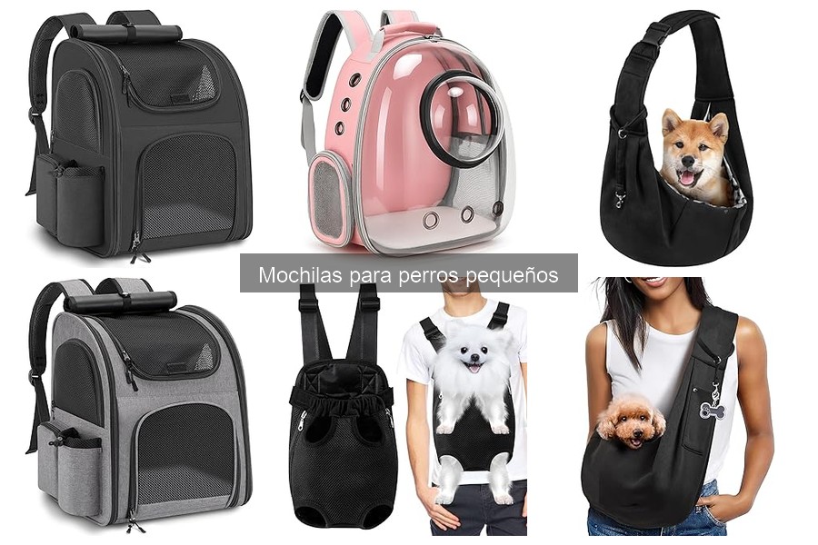 Mejores mochilas para perros pequeños según opiniones