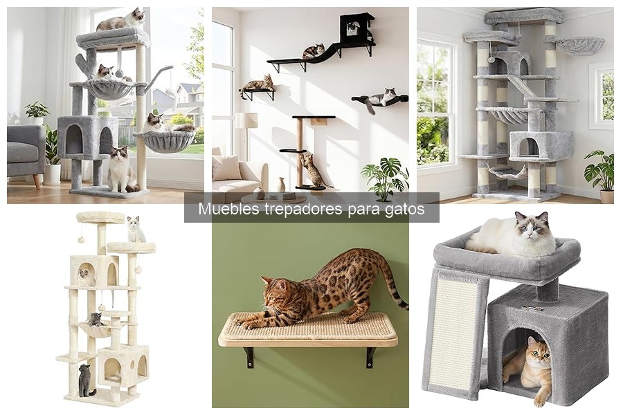 Mejores muebles trepadores para gatos según su tamaño