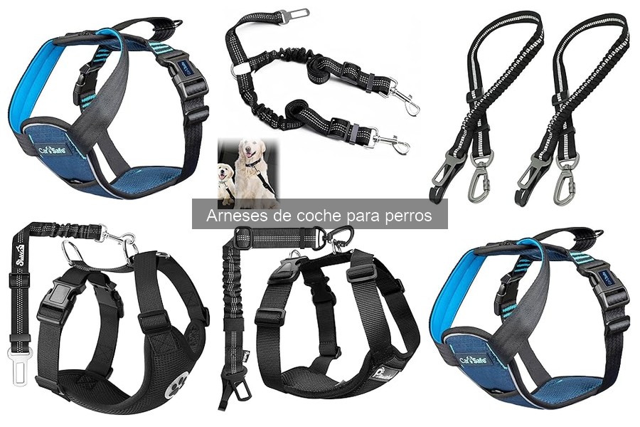 Mejores ofertas de arneses de coche para perros en 2023