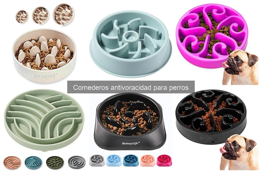 Mejores ofertas de comederos antivoracidad para perros en Amazon
