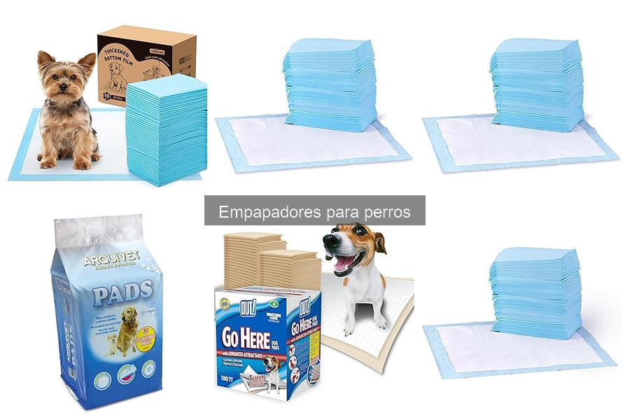 Mejores ofertas en empapadores para perros - Ahorra hoy