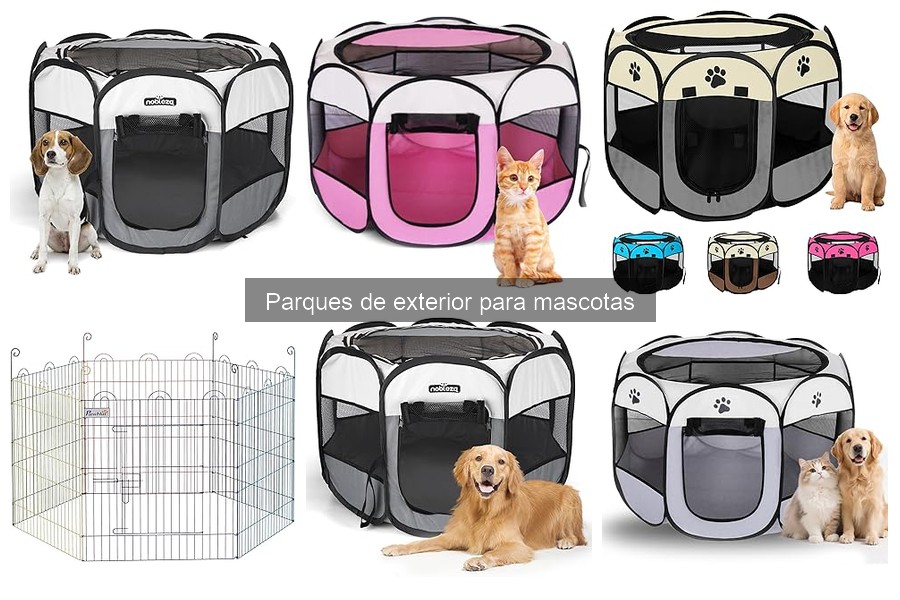 Mejores parques de exterior para perros pequeños en 2023