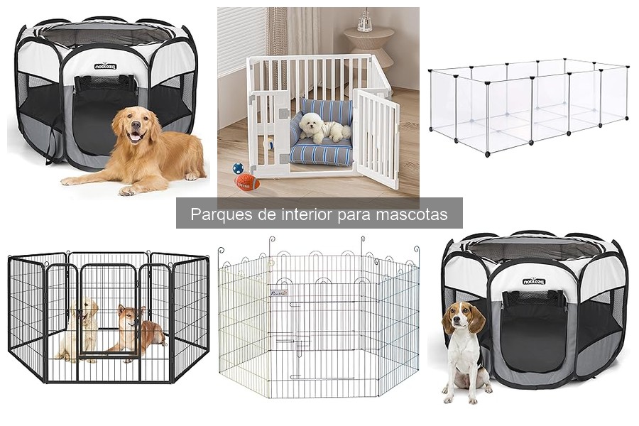 Mejores parques de interior para perros pequeños en 2023