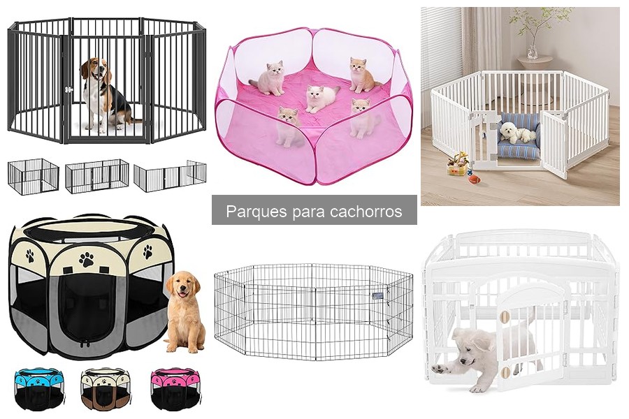 Mejores parques para cachorros: calidad y funcionalidad