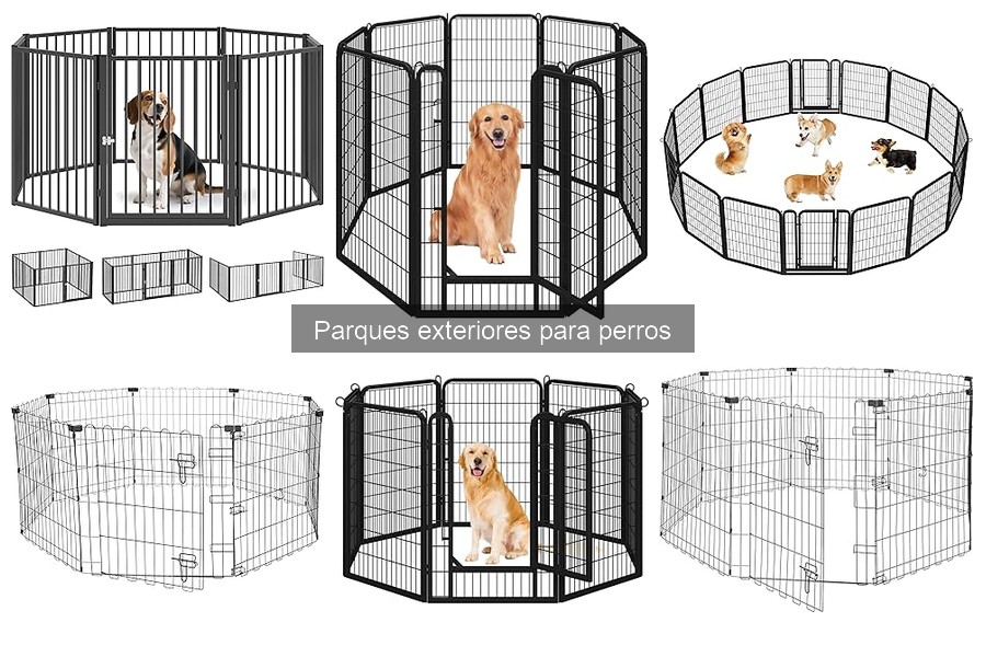 Mejores prácticas para el mantenimiento de parques para perros
