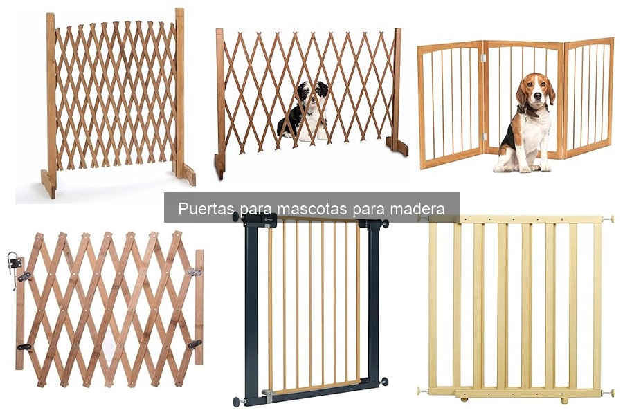 Mejores puertas de madera para gatos: comparativa 2023