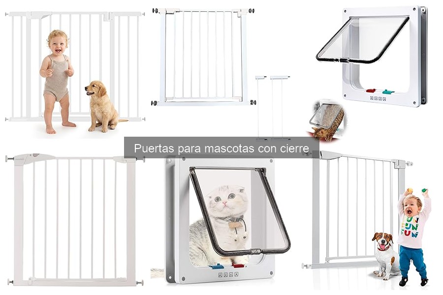 Mejores puertas para gatos con cierre: seguridad y comodidad