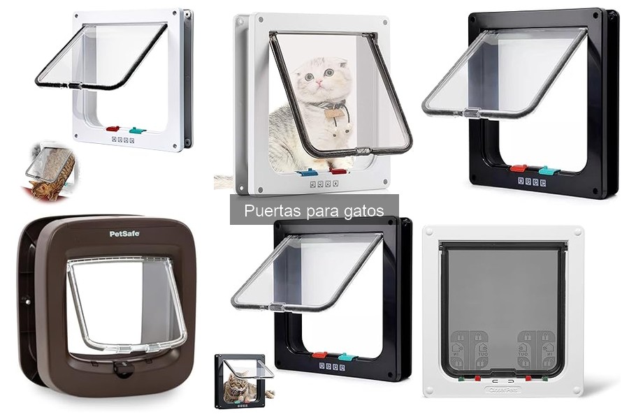 Mejores puertas para gatos en apartamentos pequeños