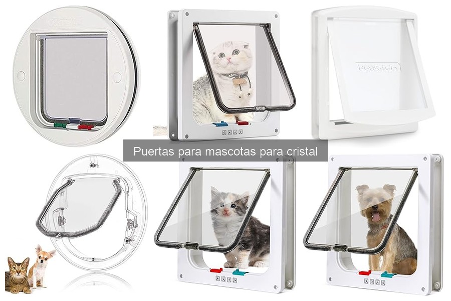 Mejores puertas para mascotas de cristal en 2023