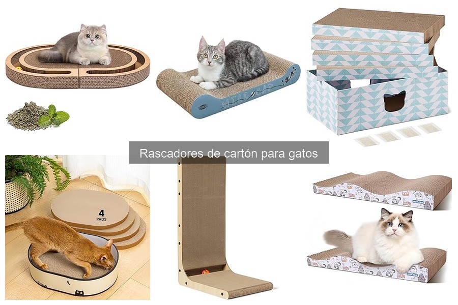 Mejores rascadores de cartón para gatos en 2023
