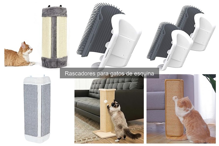 Mejores rascadores de esquina para gatos en 2023
