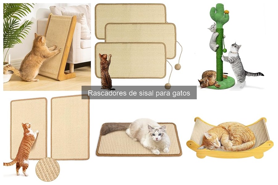 Mejores rascadores de sisal para gatos grandes en 2023