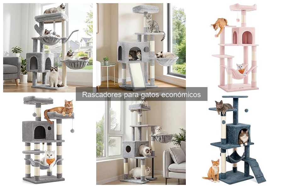 Mejores rascadores para gatos económicos en 2023