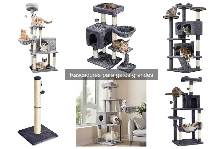 Mejores rascadores para gatos grandes 2023: comparativa