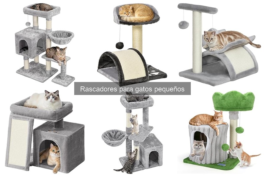 Mejores rascadores para gatos pequeños en 2023