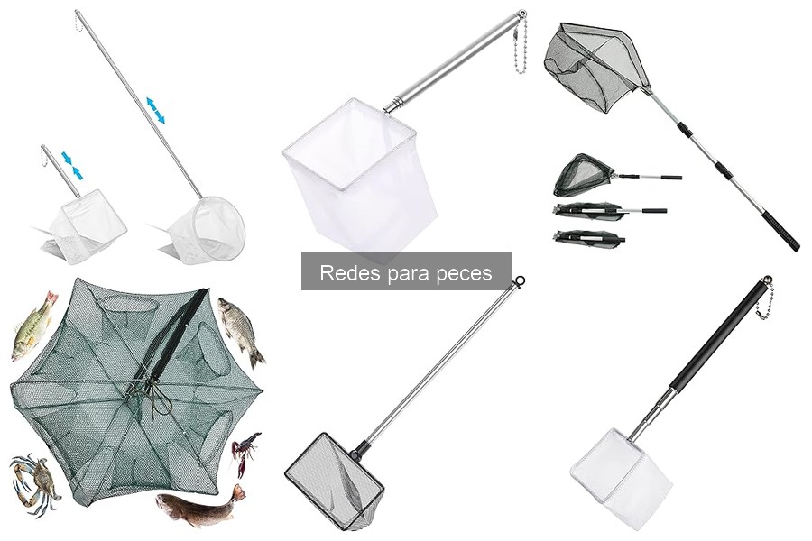 Mejores redes para peces para principiantes: comparativa 2023