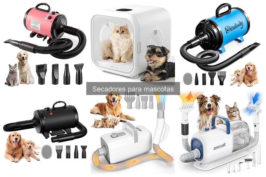 Mejores secadores para mascotas grandes en 2023