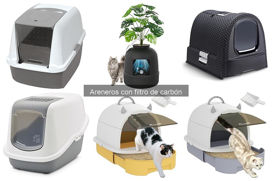 Mejores tiendas para comprar areneros con filtro de carbón