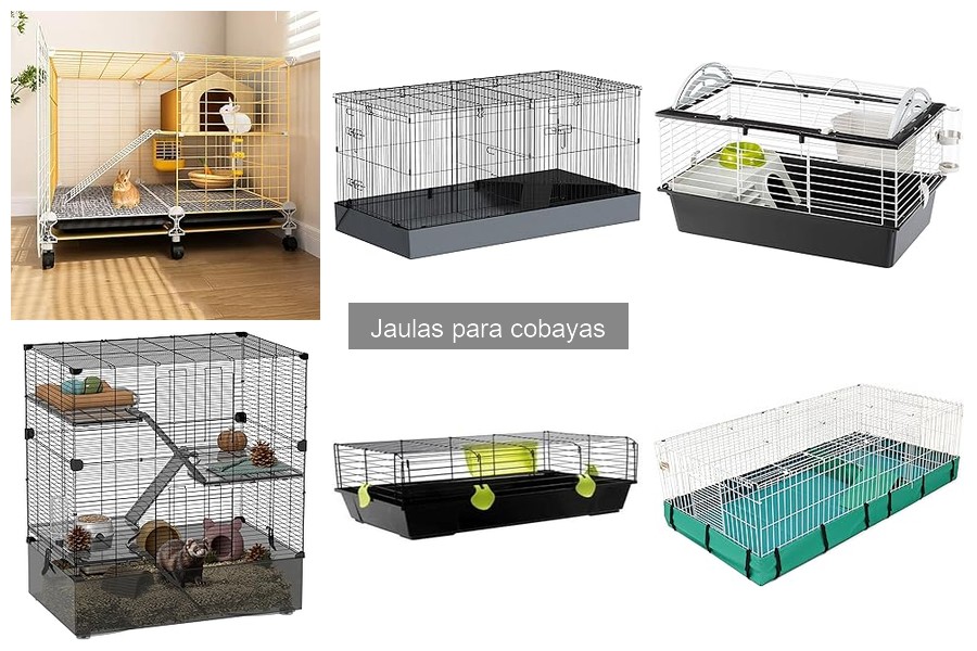 Mejores tiendas para comprar jaulas para cobayas económicas