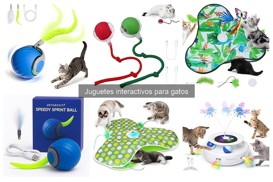Mejores tiendas para comprar juguetes interactivos para gatos