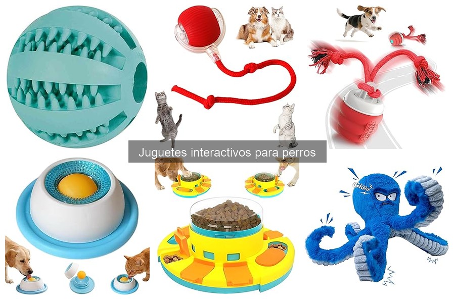 Mejores tiendas para comprar juguetes interactivos para perros