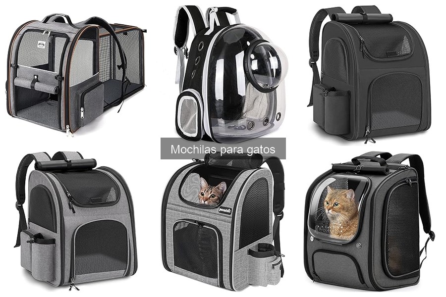Mejores tiendas para comprar mochilas para gatos a buen precio