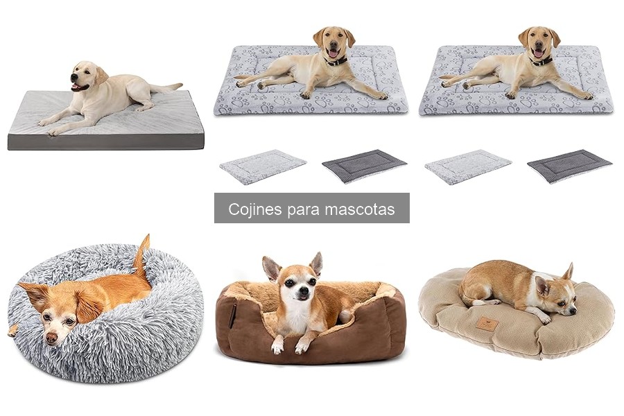 Mejores tipos de cojines para mascotas: guía completa