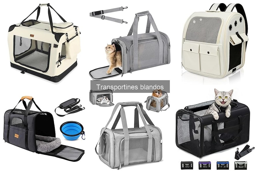 Mejores transportines blandos para perros pequeños 2023