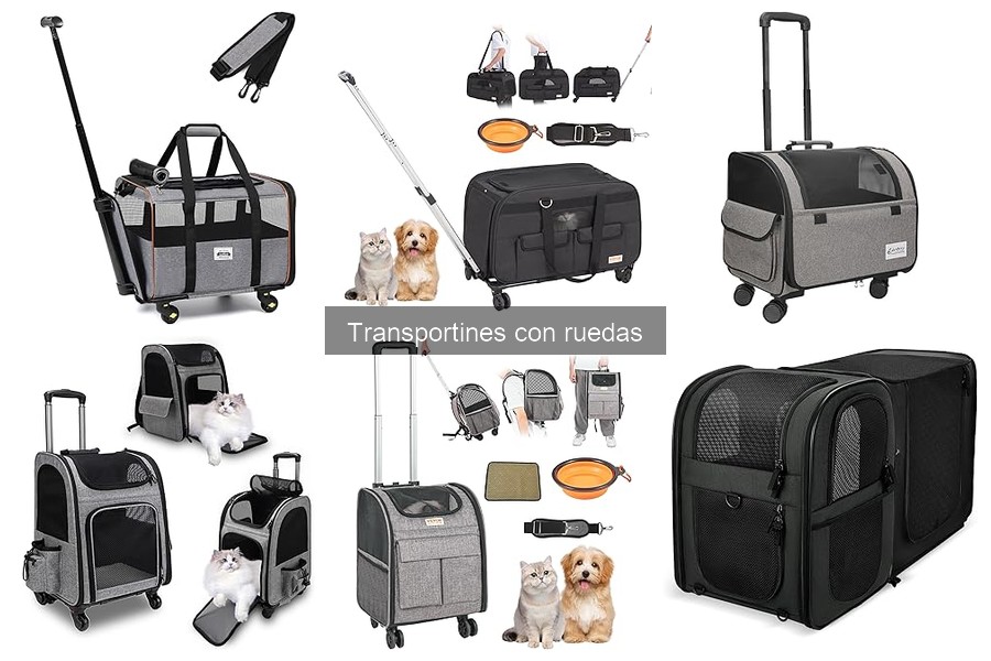 Mejores transportines con ruedas para gatos en 2023