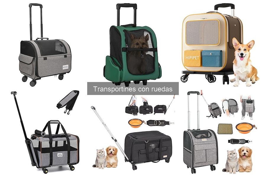 Mejores transportines con ruedas para perros en 2023