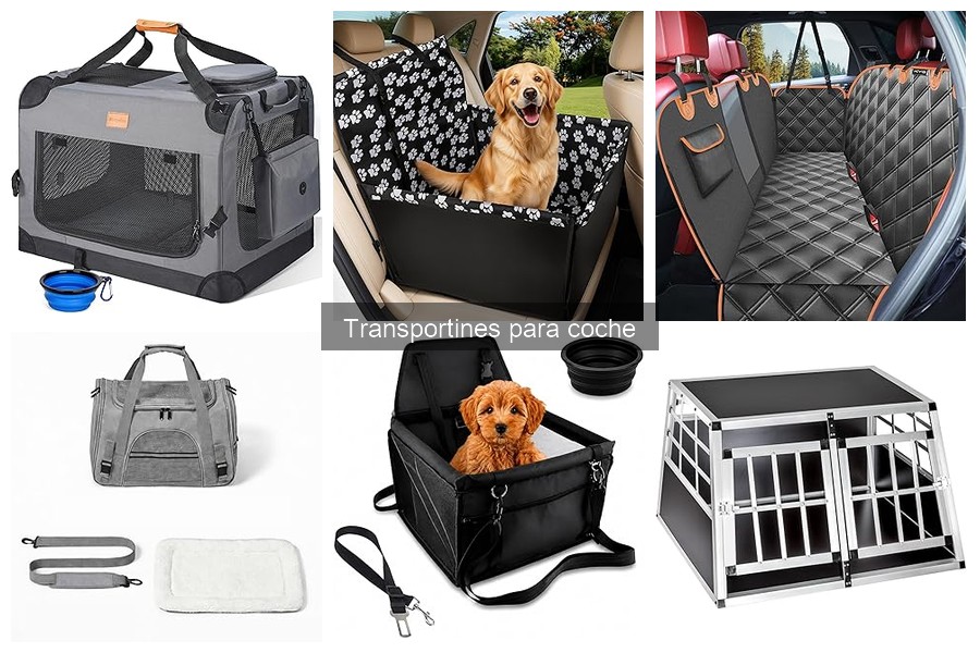 Mejores transportines para coche según tamaño de mascota