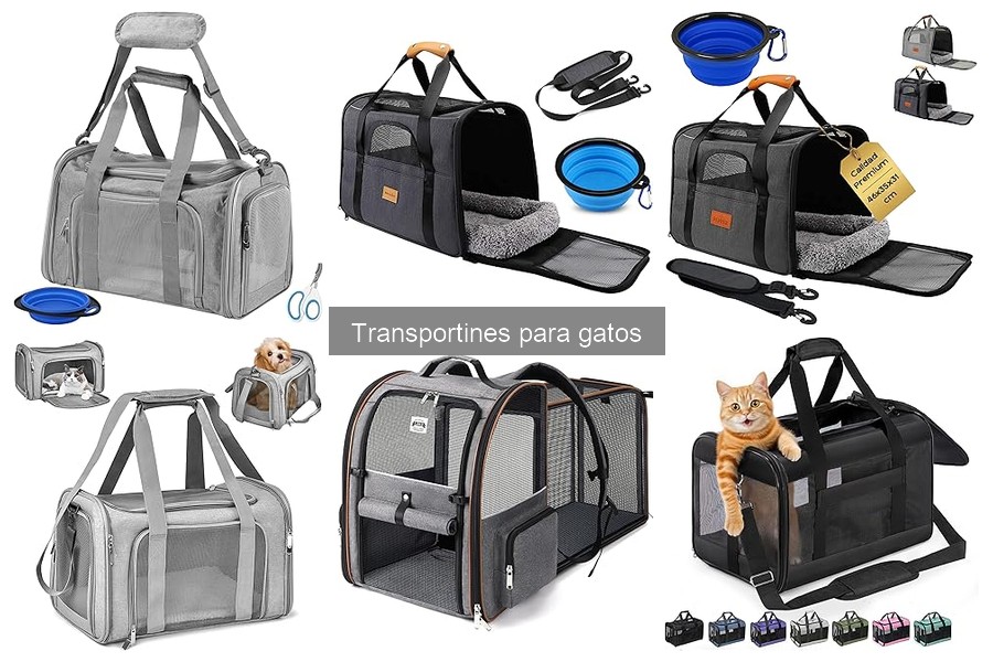 Mejores transportines para gatos en avión: comparativa 2023