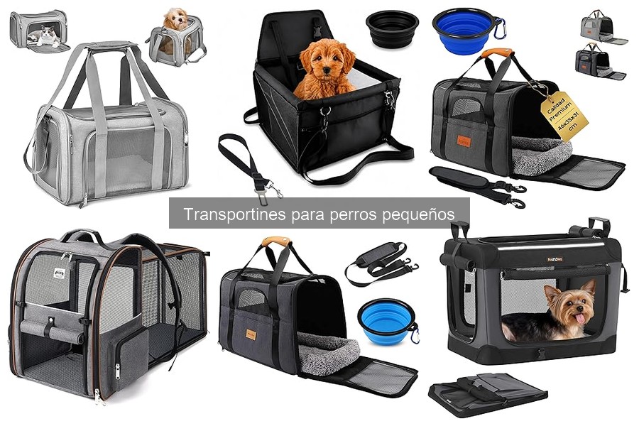Mejores transportines para perros pequeños en 2023