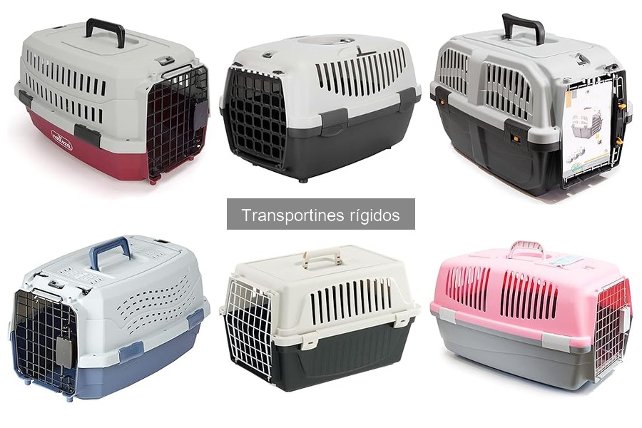 Mejores transportines rígidos para perros pequeños en 2023