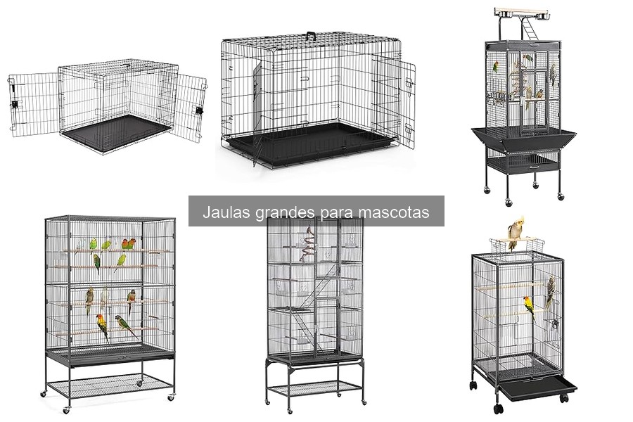 Mejores ubicaciones para jaulas grandes de mascotas en casa