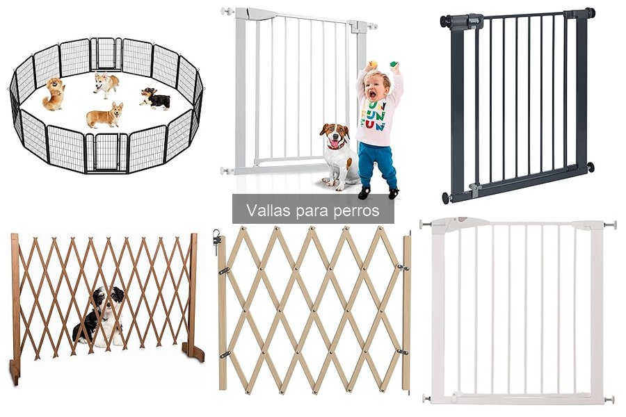 Mejores vallas para perros según el tamaño de la raza