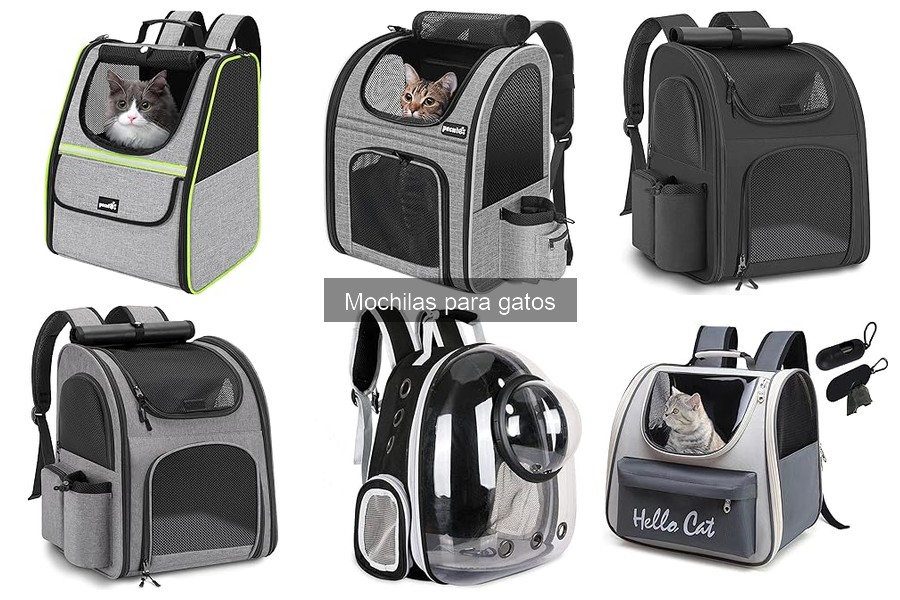 Mochilas para gatos: mejores opciones según el peso del gato