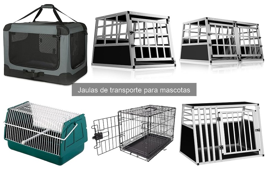 Normativa sobre el Transporte de Mascotas en Jaulas