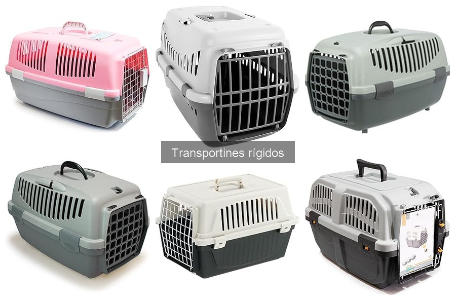 Normativas sobre el transporte de mascotas en transportines rígidos