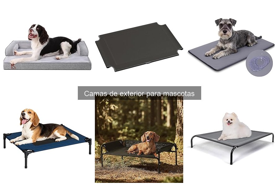 Ofertas en camas de exterior para mascotas que no te puedes perder