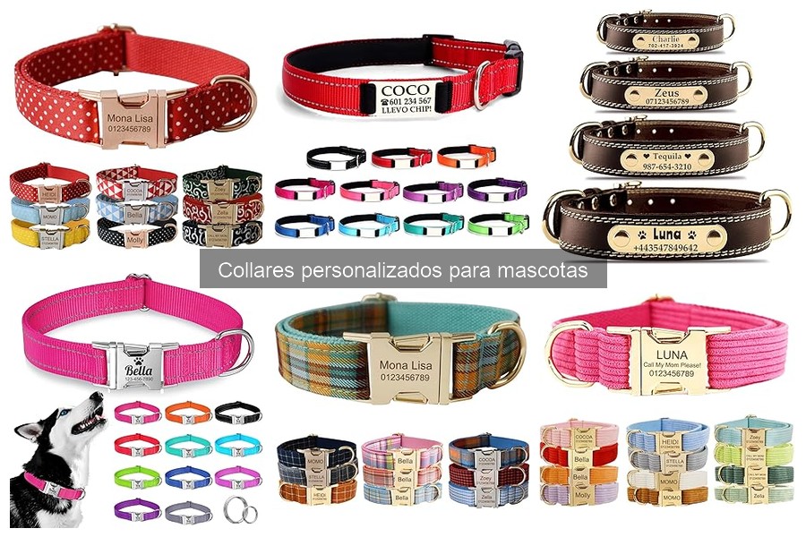 Ofertas en Collares Personalizados para Mascotas