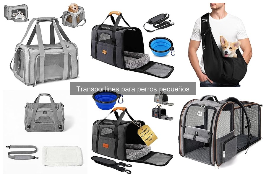Ofertas en transportines para perros pequeños: ¡Aprovecha descuentos!